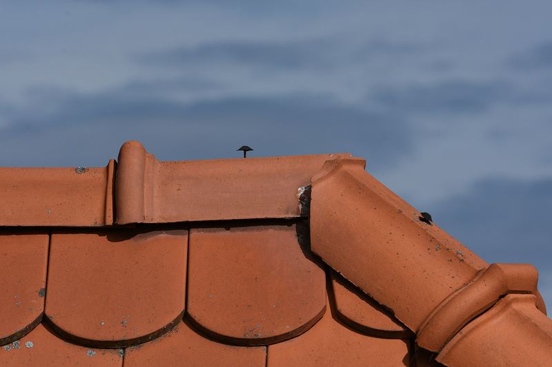 Ridge tiles on a clay tile roof